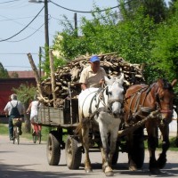 /album/hiway/abadszalok-lovaskocsi-a-jozsef-a-koruton-2013-05-10-003-jpg/